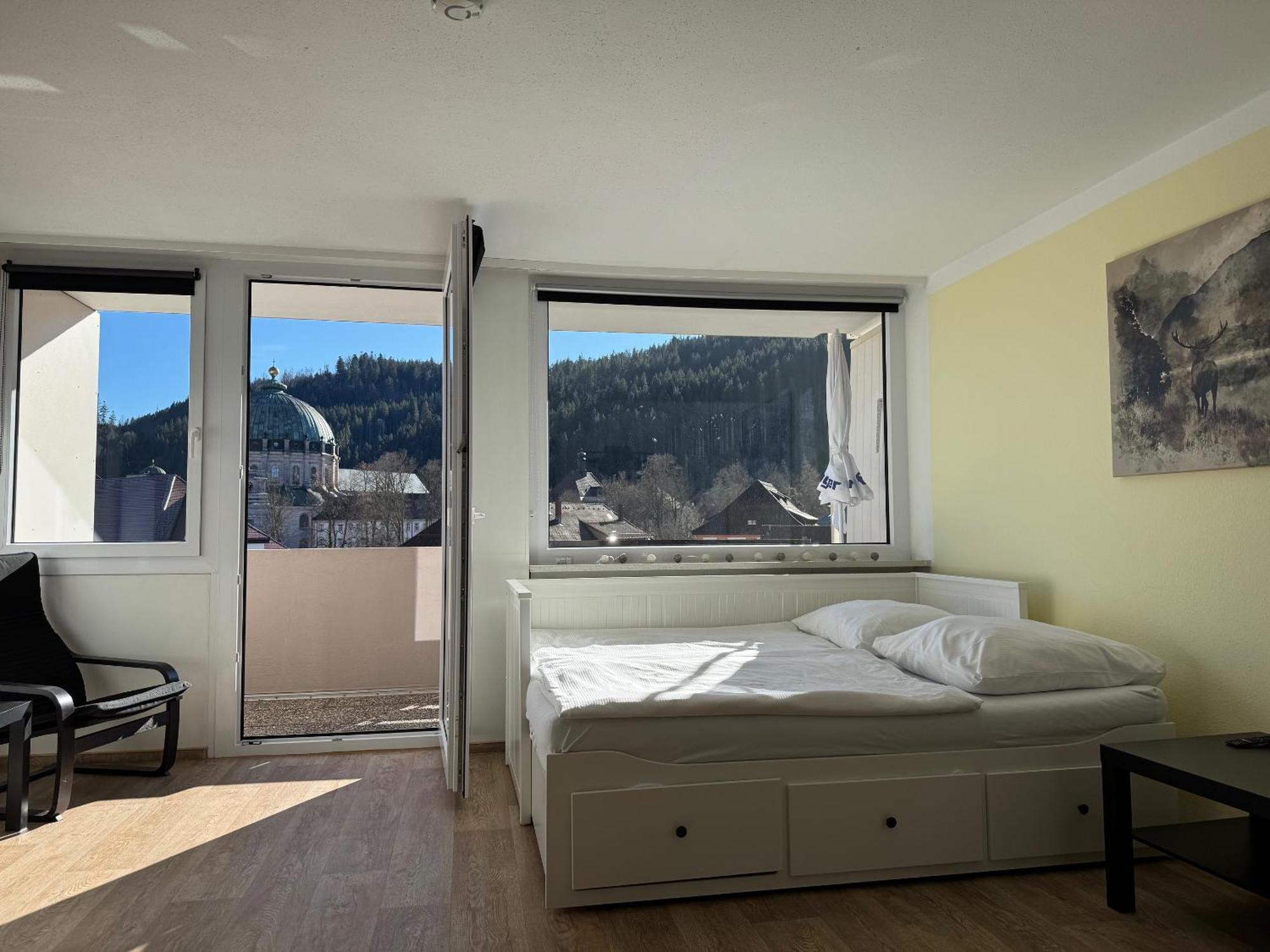 Domview Apartment St. Blasien Exteriér fotografie